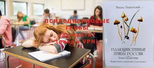 бутират Переславль-Залесский